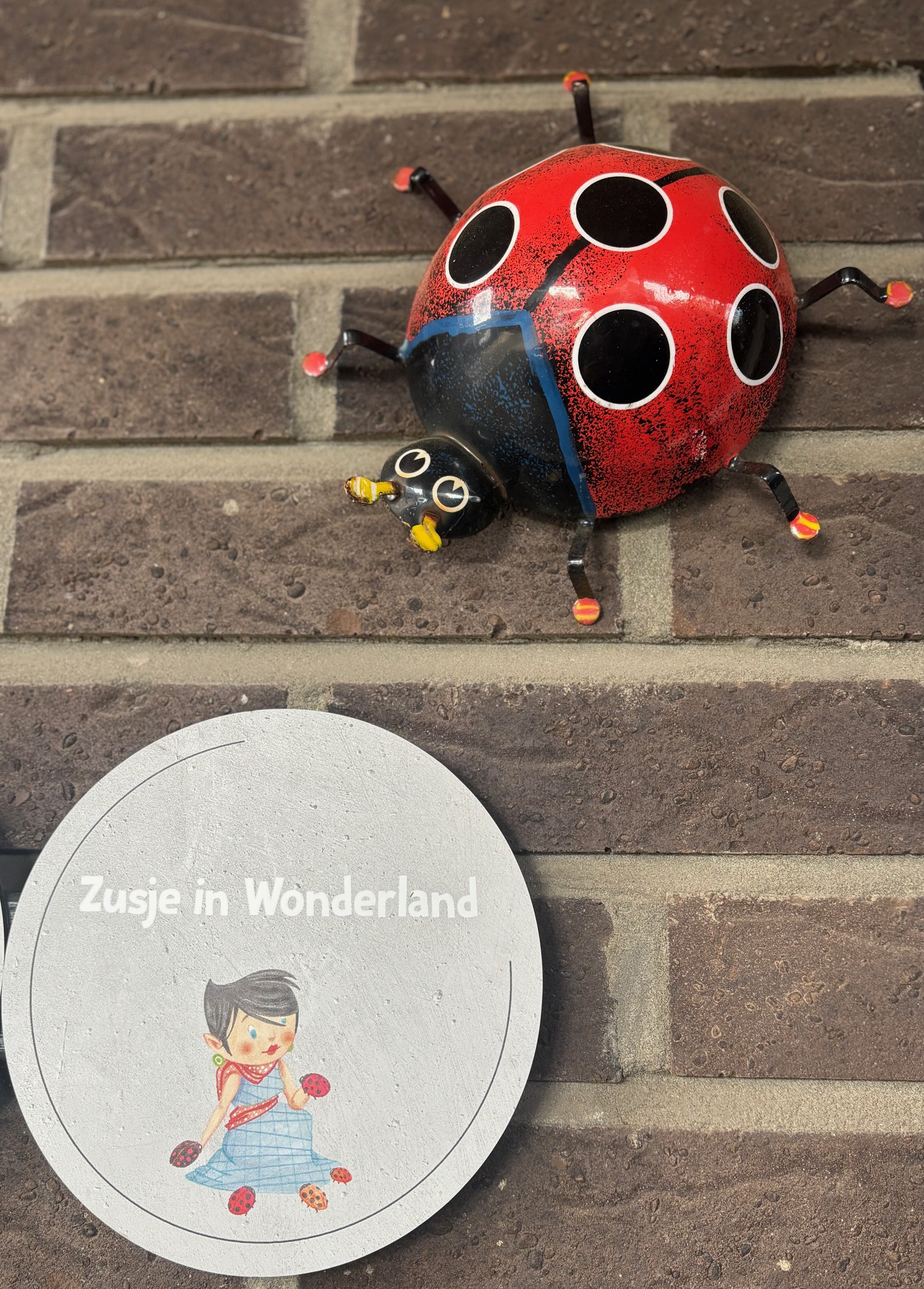 Lieveheersbeestje en Zusje in Wonderland logo aan de praktijk